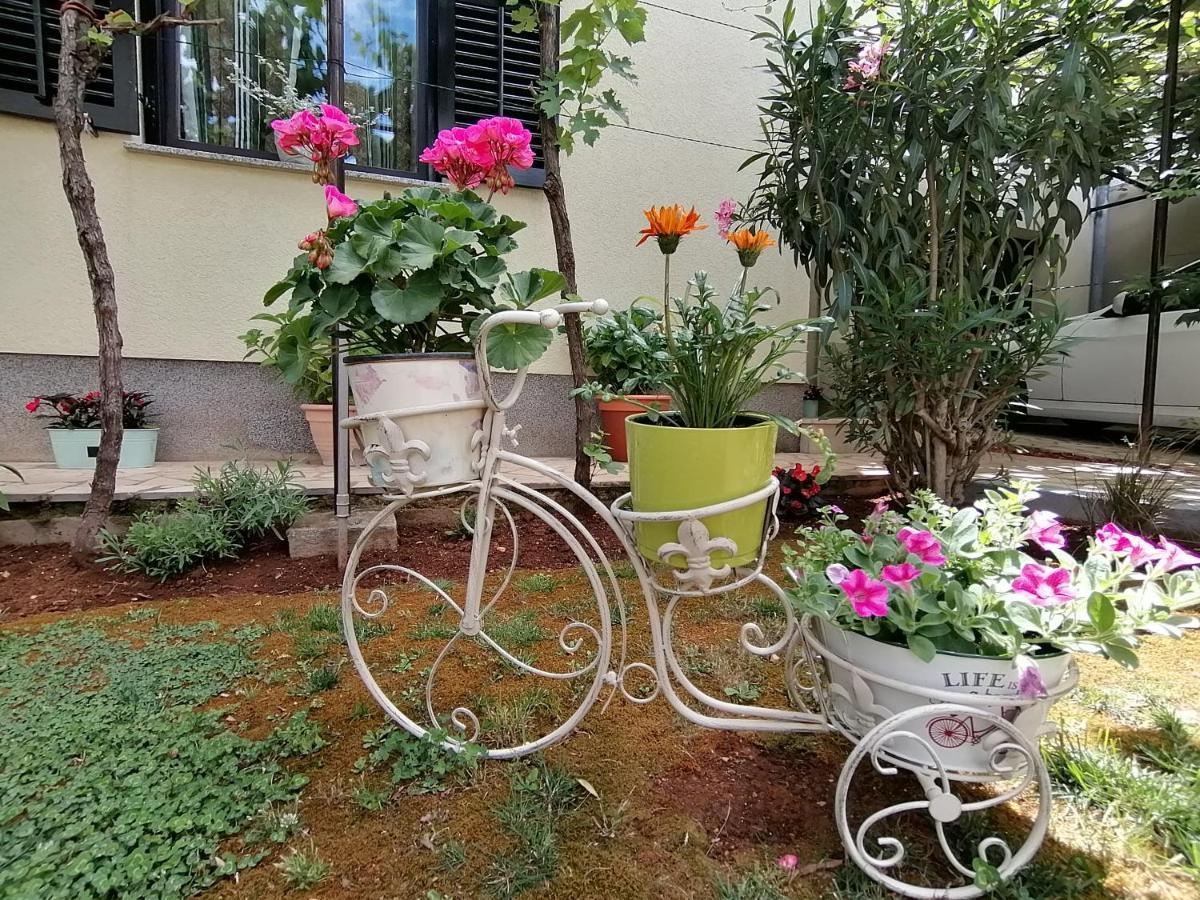 Apartment Oliva Pula Exterior foto